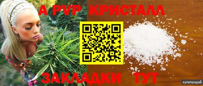 прущие крисы Ачхой-Мартан