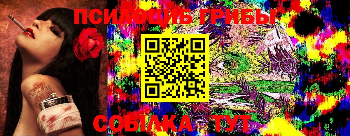 Галлюциногенные грибы ЛСД  Галлюциногенные грибы GOLDEN TEACHER  Новосибирск  цены   Вход с VPN 